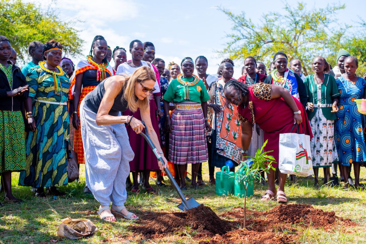 From the field photo 12